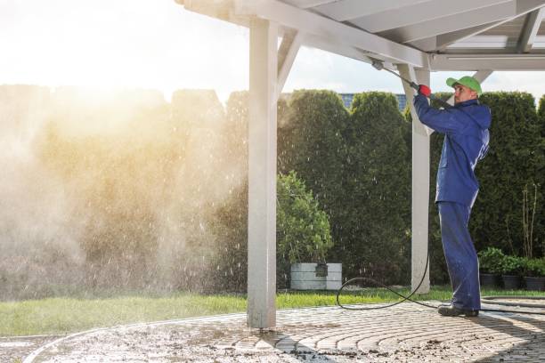 Best Rust Removal  in Swanton, OH